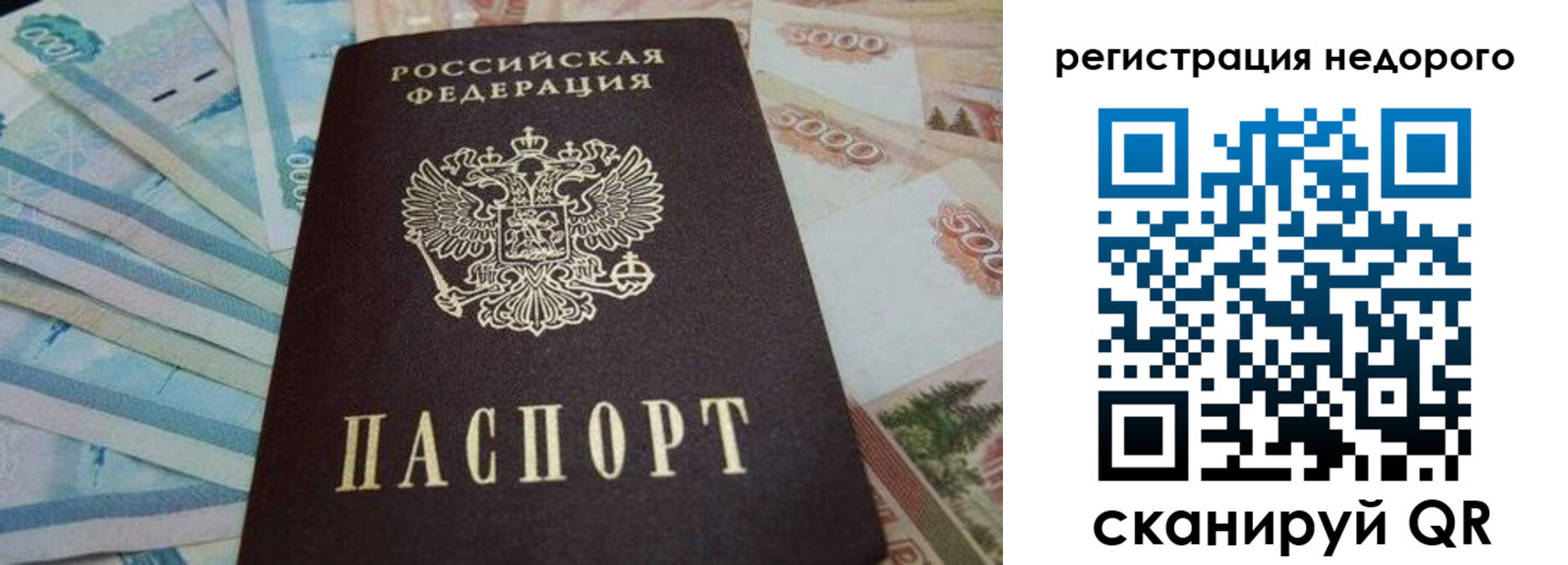регистрация для дет. сада в Мурино